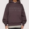 Essentials Hoodie Purple
